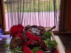 -呼和诺尔旅游景区