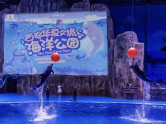 -华夏文旅海洋公园