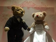 -济州岛泰迪熊博物馆