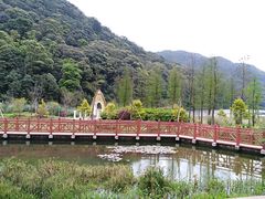 -广州市石门国家森林公园