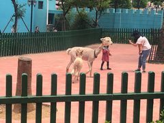 -无锡动物园·太湖欢乐园