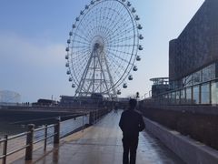 -琴岛之星摩天轮