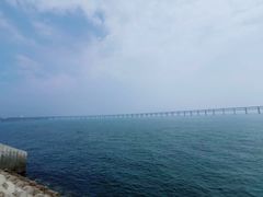 -星海湾跨海大桥