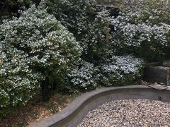 -仁爱团泊湖温泉中心