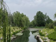-北坞公园
