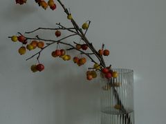 -纽巷咖啡 SOFTFOCUS COFFEE(锦和巴黎时韵店)