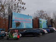 -合肥滨湖国家森林公园