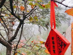 -妙峰山风景名胜区