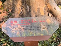 -中山公园