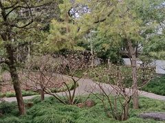-秋霞圃