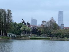 -四海公园(南山区)