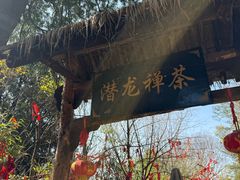 -少华山国家森林公园