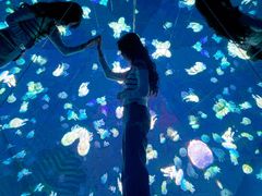 -日照世帆赛基地