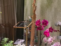 -王府茶楼茶宴·创意菜(朝阳公园店)