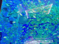 -成都浩海立方海洋公园