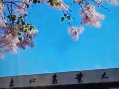 -东北农业大学