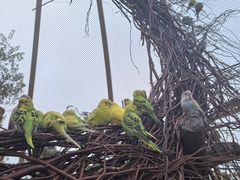 -茅山东方盐湖城景区