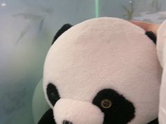 -眉州东坡·熊猫主题餐厅(枫蓝店)