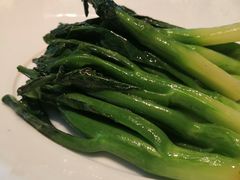 -子福慧(虹桥店)