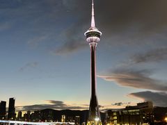 -澳门环岛游湾仔码头