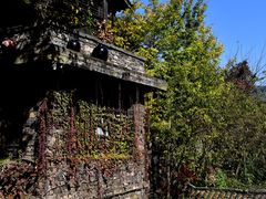 -三峡人家风景区