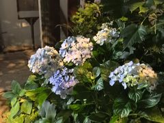 -斯多格书乡(北京大学畅春园店)