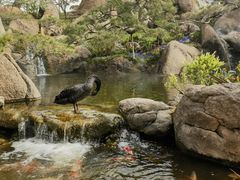 -罗红摄影艺术馆