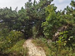 -西尖山公园