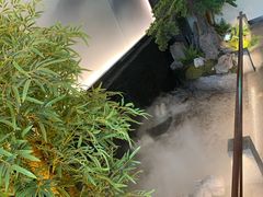-鸽子侯·家宴·平价海鲜(市图书馆店)