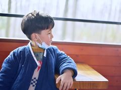 -合肥滨湖国家森林公园