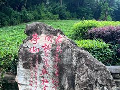 -敬亭山风景名胜区