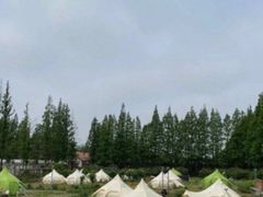 -前小桔亲子创意农场·草莓采摘·露营烧烤