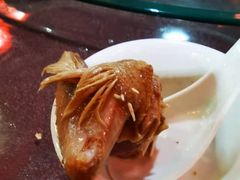 -东鸽皇(奥园·中环广场店)