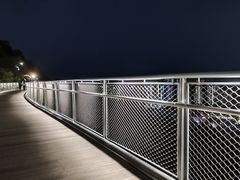-板樟山森林公园