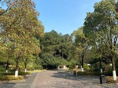 -铁山坪森林公园