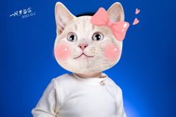 -生生摄影