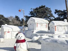 -长春市南湖公园