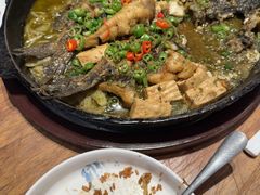 -老板恋上鱼(恒隆广场店)