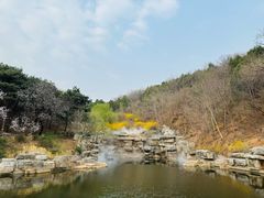 -北京西山国家森林公园