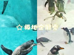 -正佳极地海洋世界