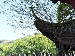 -小厨师·二十年沈家门小海鲜(百井坊巷店)