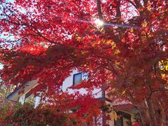 -轻井泽王子购物广场