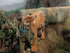 -陕西自然博物馆