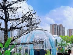 -享月汤皇·海鲜小火锅·聚会(曲江创意谷店)