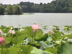 -池州市平天湖风景区