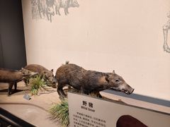 -大庆市博物馆