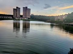 -松山湖南湖湾露营营地