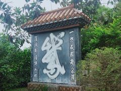-靖西鹅泉风景区