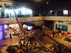 iphone_upload_pic-自贡恐龙博物馆