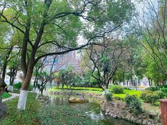 -沙市市中山公园